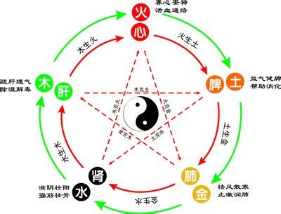 燕五行|燕字五行属什么